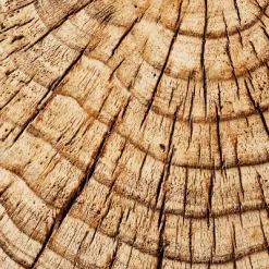 Indoor/Outdoor Faux Concrete Stump Accent Table Brown - Threshold™ Designed With Studio McGee 11 Indoor/Outdoor Faux Concrete Stump Accent Table Brown - Threshold™ Designed With Studio McGee -Chic Furniture Store GUEST 03deabfd 2b62 4725 94b4 09a321ea8678