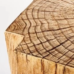 Indoor/Outdoor Faux Concrete Stump Accent Table Brown - Threshold™ Designed With Studio McGee 10 Indoor/Outdoor Faux Concrete Stump Accent Table Brown - Threshold™ Designed With Studio McGee -Chic Furniture Store GUEST 0507ce42 1b4d 418a 858c 11fe1ac459fe